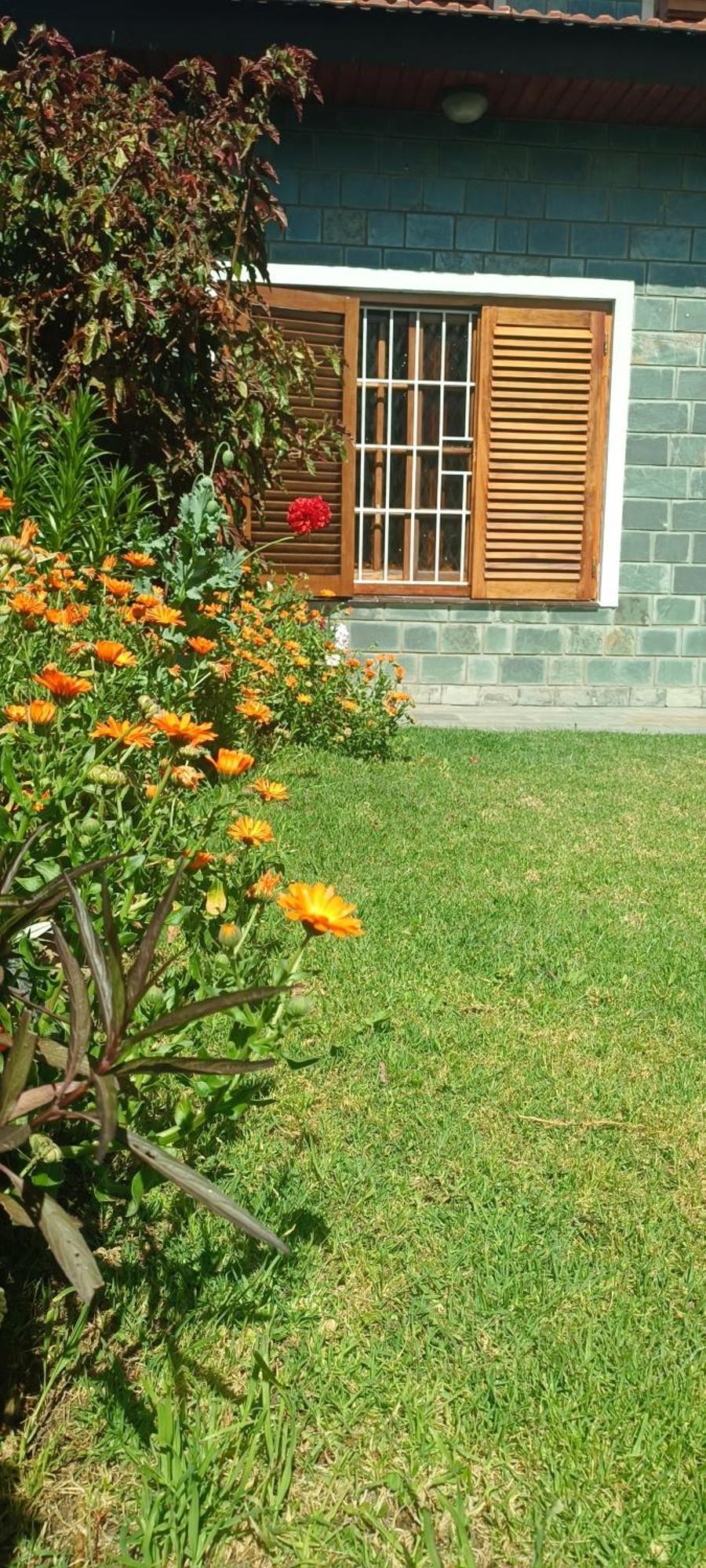 Casa Olivia- Alojamiento Con Piscina - Aeropuerto אזייזה מראה חיצוני תמונה